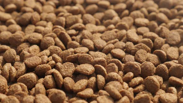 Cat or dog dry food close-up 4K 2160p 30fps UltraHD footage - Tilting over  pet pellets on  pile 384 alt