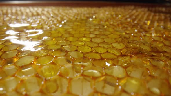 Honeycomb Frame with Golden Organic Honey alt