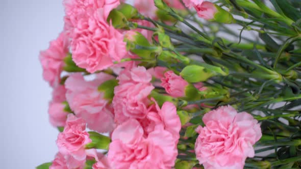 Close-up of a large number of pink carnations in a tin vase rotating. alt