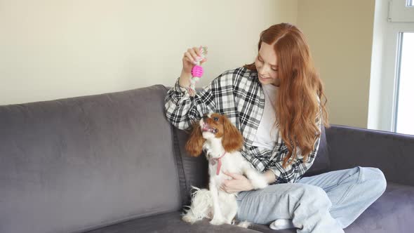 An Attractive Young Woman and a Cute Cavalier King Charles Spaniel Spaniel Play Together at Home on