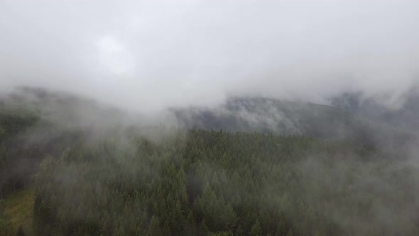 Flying Inside Morning Mist