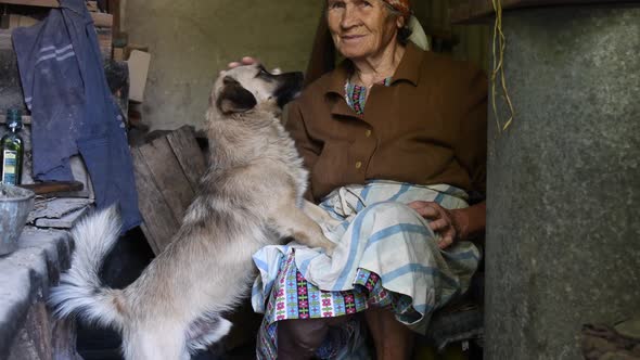 Domestic rustic life of aged dog with senior woman at home in countryside