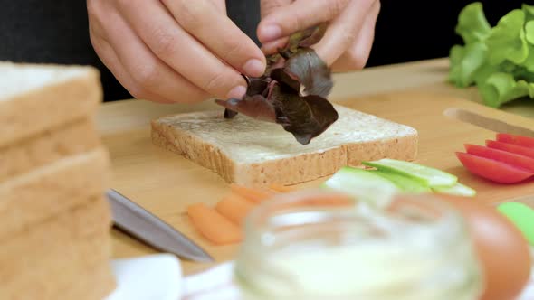 Woman's hands put oak leaf lettuce and fresh tomato slice on healthy sandwich