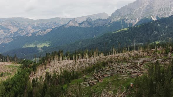 Deforestation in the Dolomites After Heavy Storms