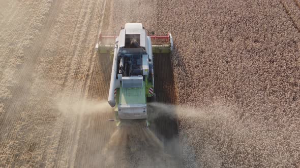 Combine Harvester In Wheat