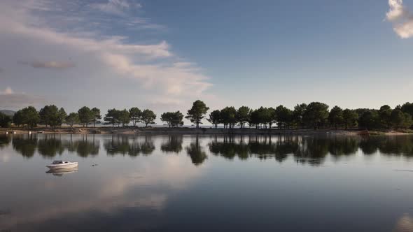Galicia Dune Trees alt