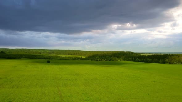 Nature Field Meadow