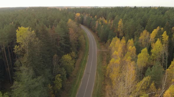 Flying Overroad in the Forest alt