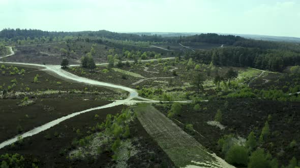 Chalky white hiking trail pathway aerial tilting pan view across Guilford nature greenery alt