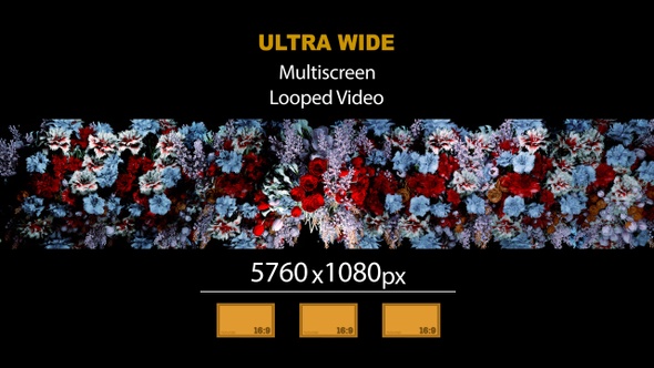 Ultra Wide HD Bouquet Flowers Roll 02