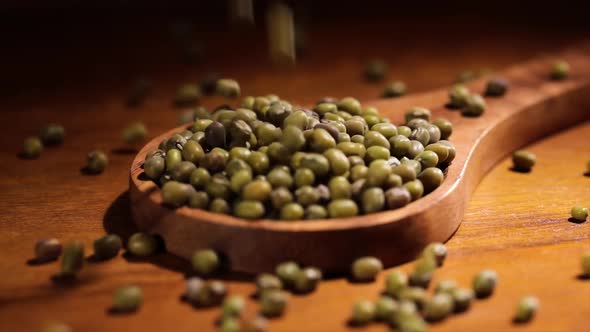 Mung Bean. The Mung Bean Alternatively Known As the Green Gram, Maash, or Moong. alt