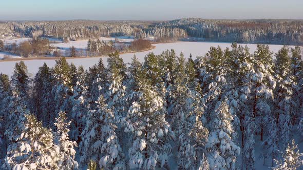 Beautiful Aerial Shot of Snowy Forest with a Frozen Lake in the Background alt