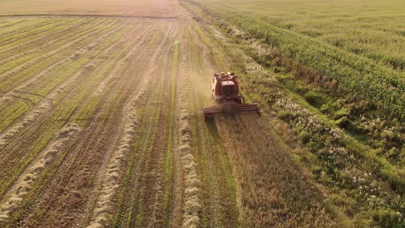Farmer on a Vintage Brown Harvester Harvests Dusty Crops on a Warm Summer Evening alt