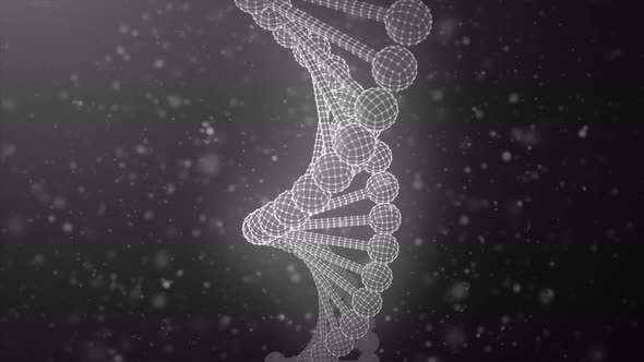 Infinite Fly Near DNA Chain