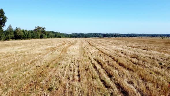 Aero Birdview Field Landscape Drone Fly