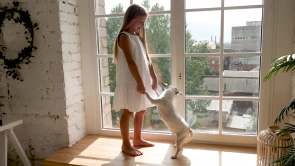 Girl with Long Hair Standing on the Window with a White Dog alt