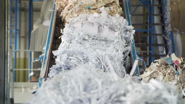 Waste Paper Recycling Mill alt