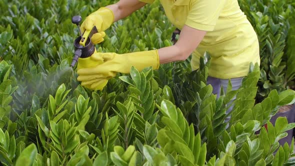 Woman Working in Garden alt