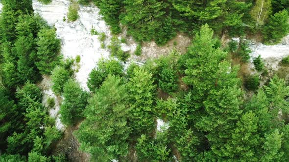 Beautiful View From Height of the Flight on Mountains Covered with Pine Trees