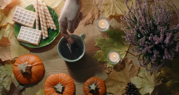 Tabletop Video of Brewing a Tea Bag in Slow Motion alt