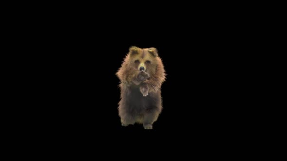 183 Bear StandingMagic Attack HD alt