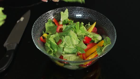 Girl Prepares a Salad of Vegetables and Lettuce Closeup on a Black Background alt