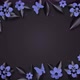 Blue and black flowers, loop background - VideoHive Item for Sale