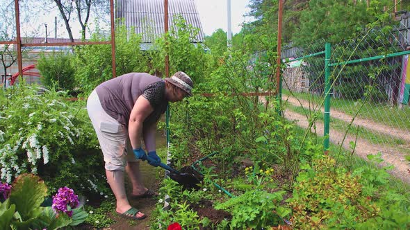 A Woman in a Hat Falls Into a Hole for Planting a Rose and Smiles alt