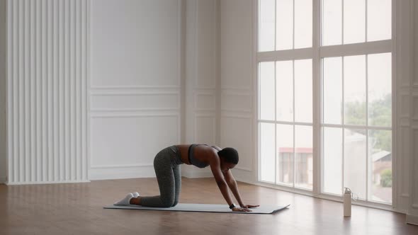 Flexible Black Woman In Sportswear Stretching Her Back While Training At Home alt