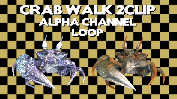 Crab 2Color Walk Loop Alpha