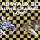 Crab 2Color Walk Loop Alpha - VideoHive Item for Sale