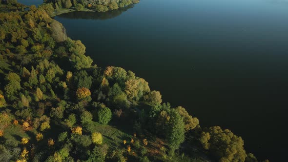 Flight Over The Autumn Park. Trees With Yellow Autumn Leaves Are Visible. alt