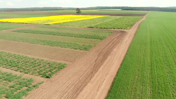 Drone Flying Over Agricultural Fields, Vegetables Bed and Rural Ground Road