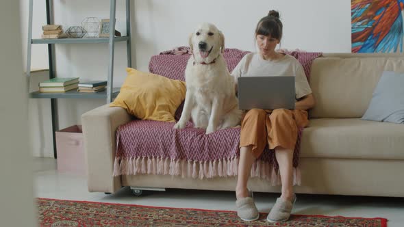 Woman Working on Laptop and Petting Dog in Living Room alt