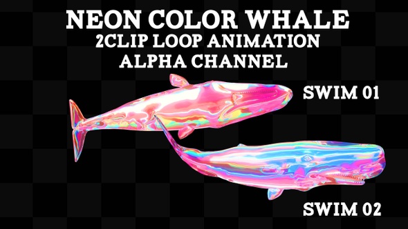 Neon Color Whale 2 Clip Loop