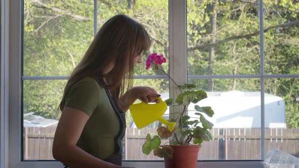 Beautiful Female Gardener Watering Blooming Geranium in Flowerpot on Windowsill alt