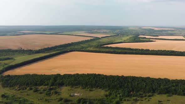 Wheat Fields Aerial View