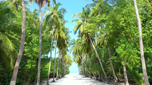 Wide drone abstract shot of a summer white paradise sand beach and aqua blue ocean background in hig alt