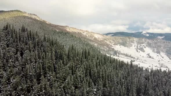 Aerial Shot Over Bucovina Forest In Winter