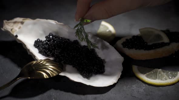 Black Caviar Is Served on a Plate in the Form of a Real Shell with Mother of Pearl alt