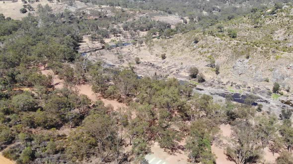 Aerial View of a Forest River