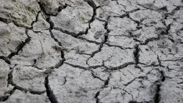 Dry Cracked Ground
