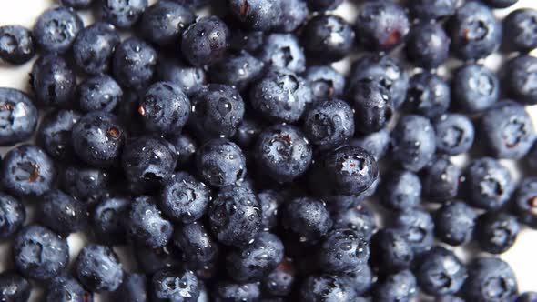 The Juicy Blueberry in a Chaotic Position on the White Background