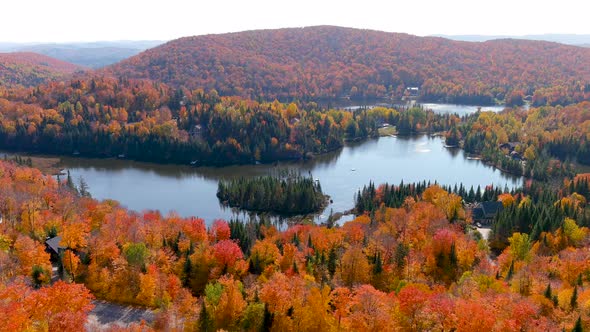 4K camera drone captures stunning autumn foliage colors and secluded houses on the lake.