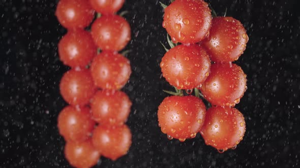 Red Ripe Tomatoes Cluster in Super Slow Motion Watering By Droplets alt