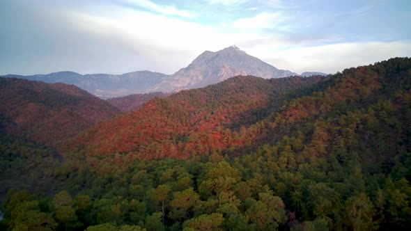 The drone view on the natural park among tracking path:"likya yolu" in South Turkey, Antalya