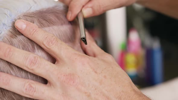 Close up view woman having her hair cut by a hairdresser alt