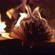 Old Open Book is Burning - VideoHive Item for Sale