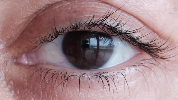 Macro shoot on dark brown eye and eyelashes