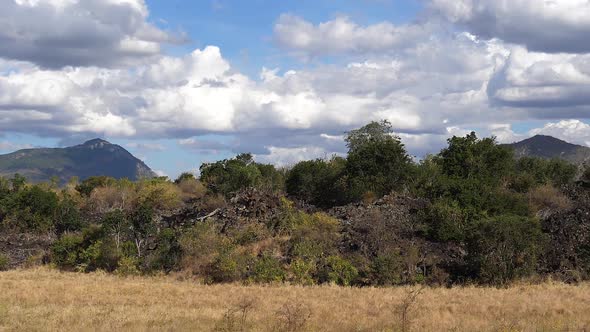 Savannah landscape in Tsavo Park, Mountain and Forest, Kenya, Slow motion alt